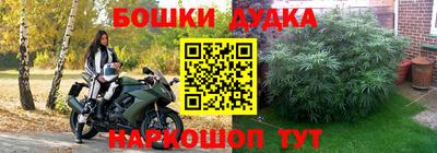 МДПВ Коломна