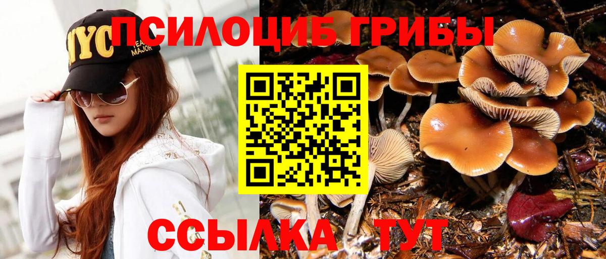 Псилоцибиновые грибы Psilocybine cubensis  купить наркоту  Карталы  Вход с VPN 