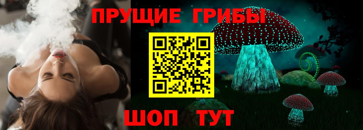Псилоцибиновые грибы Cubensis Карталы